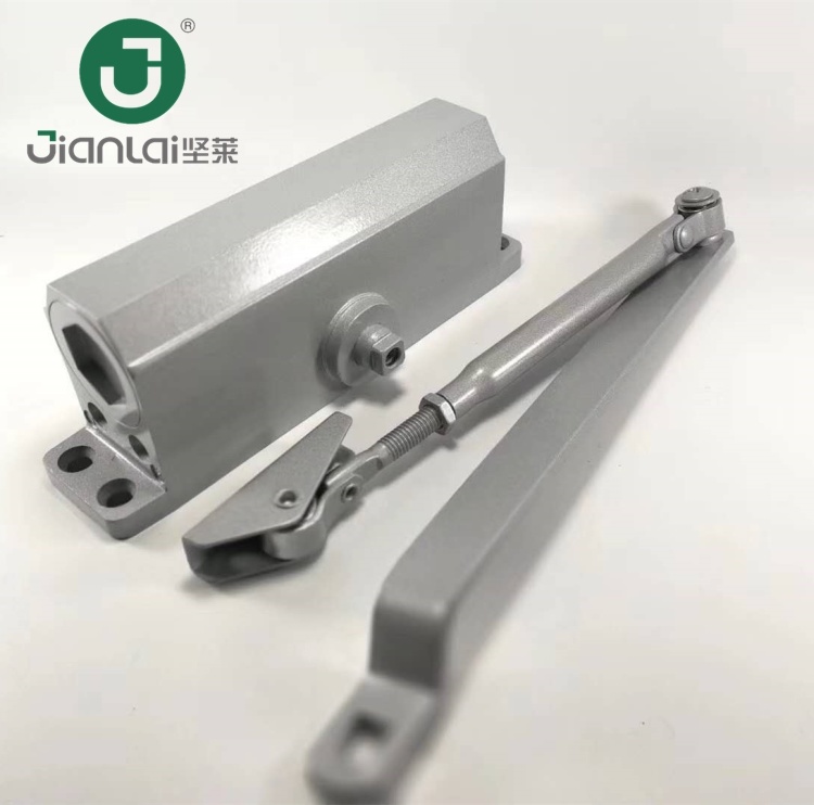 Global Selling High Quality Door Closer Bearing Weight 80kg